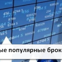 Самые популярные брокеры бинарных опционов в России