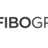 Форекс брокер Fibo Group