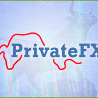 Форекс брокер PrivateFX