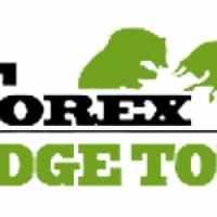 Форекс брокер Hedge Total